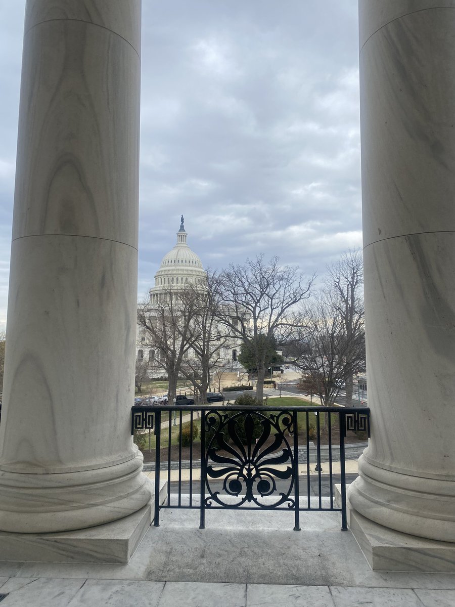 RooseveltCTE's tweet photo. Senior Global Service & Diplomacy @NAFCareerAcads scholar and @RooseveltHSDC SGA president Jalynn Charity shadowed @CongressmanGT’s staff at the Cannon House Office Building on National Groundhog Job Shadow Day! #CTEMonth https://t.co/M2S2EciVmc