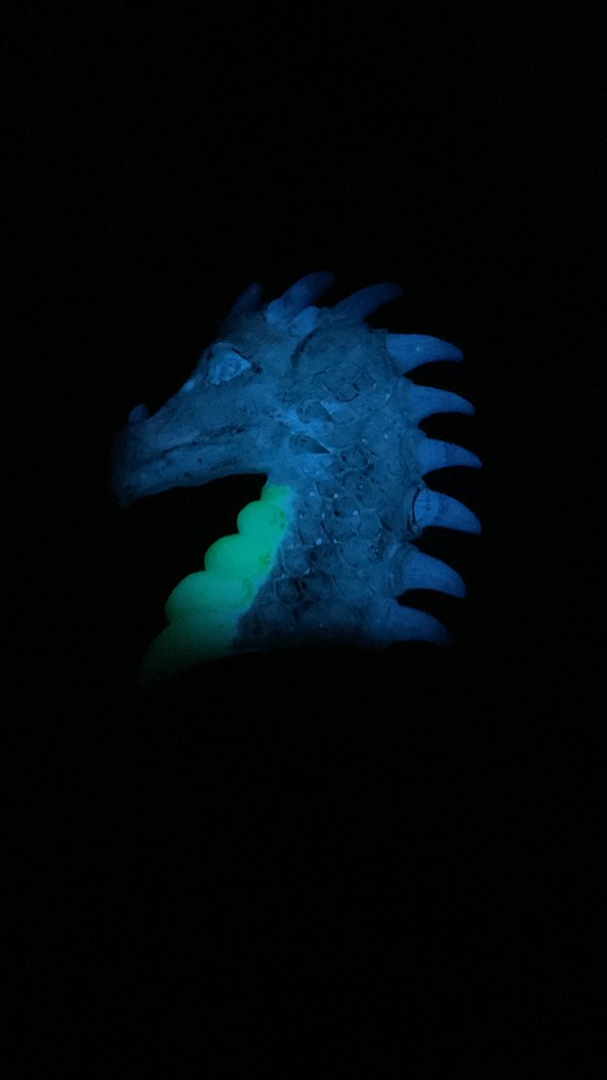 CStickermonkey's tweet photo. @cidermama @LittleVanMonkie SOOOO COOL! IT GLOWS 😱 https://t.co/usrQJ6m0P5
