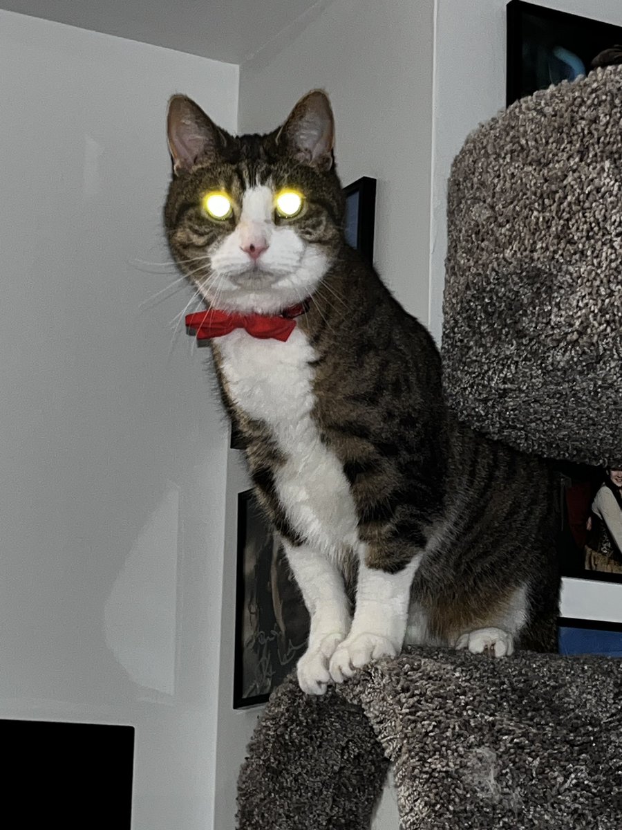 HalThoughts's tweet image. Señor Glowy Eyes