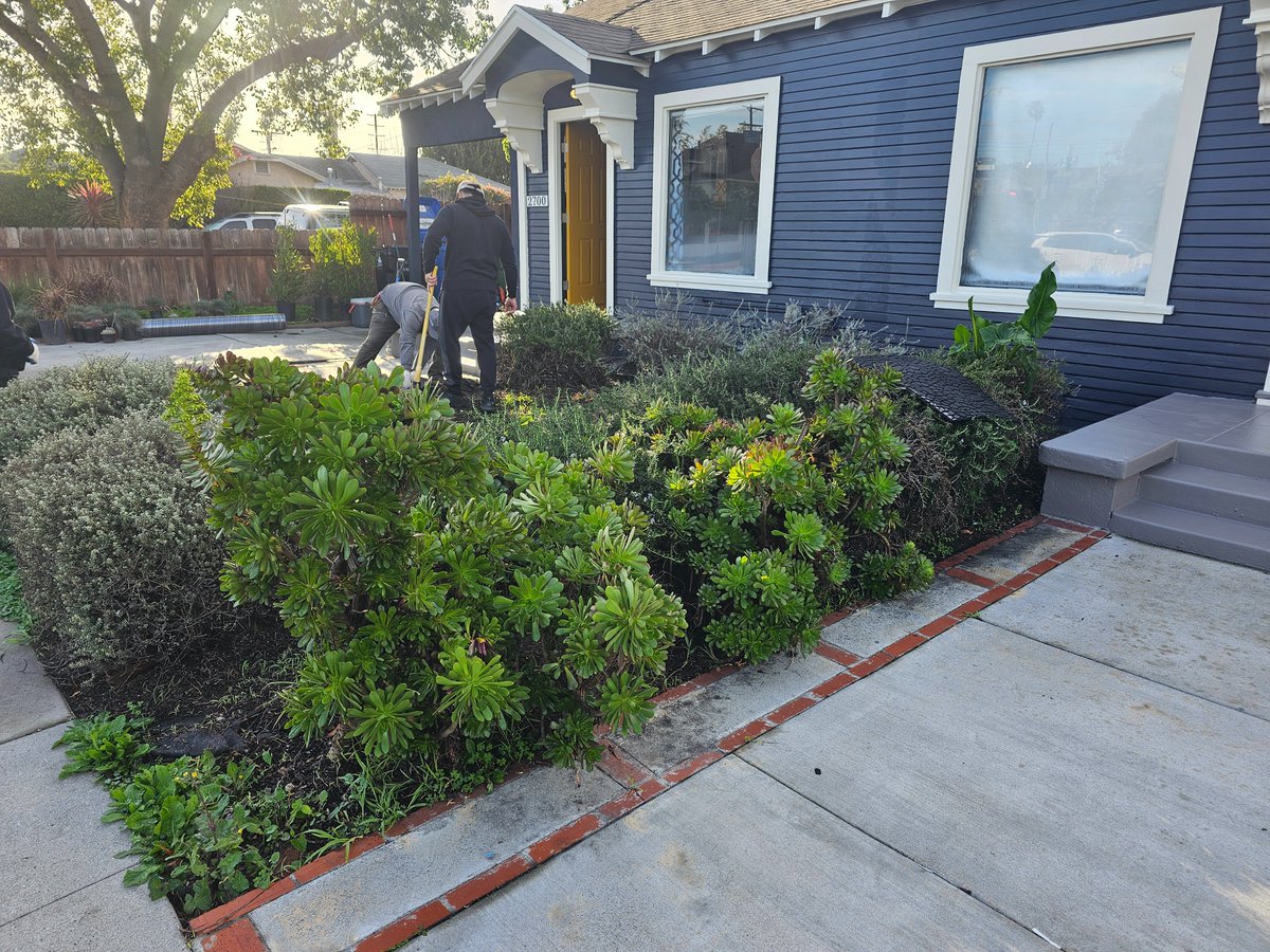 housefaceinc's tweet photo. #housefaceinc
If you want to make changes and refresh your garden, contact us. https://t.co/xhGfNmugPG