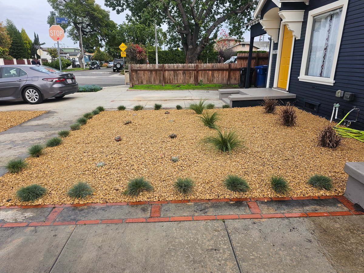 housefaceinc's tweet photo. #housefaceinc
If you want to make changes and refresh your garden, contact us. https://t.co/xhGfNmugPG