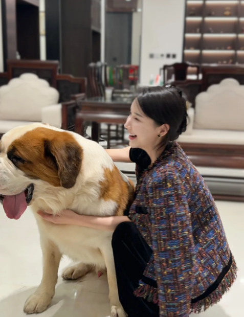 I love all dogs
Extra Large St. Bernard Dog
Picture from the Internet