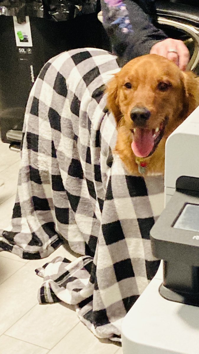 snoopypez's tweet photo. IT IS?? well then here is some Westley!! https://t.co/nN9VsvnASN