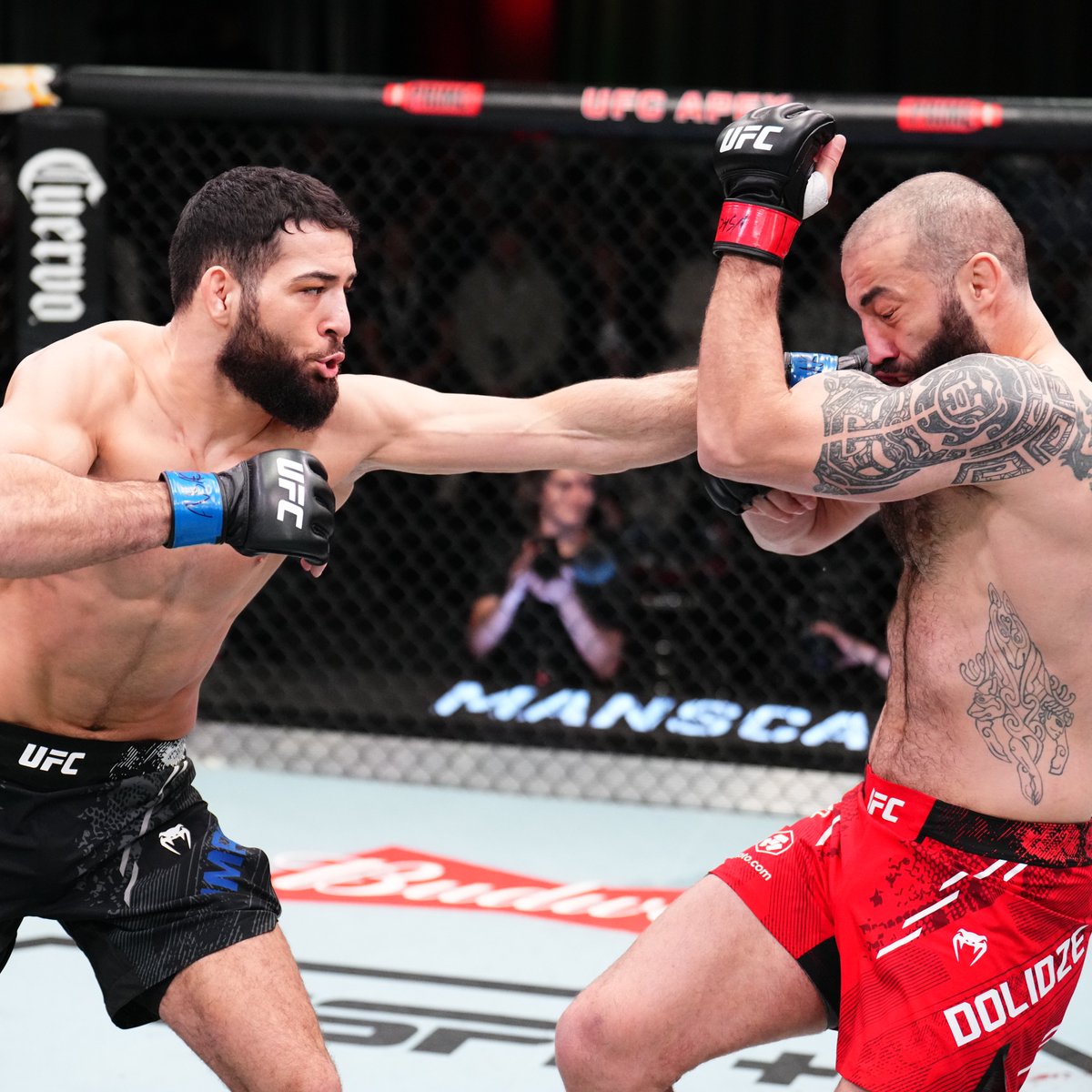 ufc's tweet photo. A dominant victory from @Imavov1 last night 👊

Who do you want to see him in the Octagon with next? #UFCVegas85 https://t.co/w1MSJkezb1