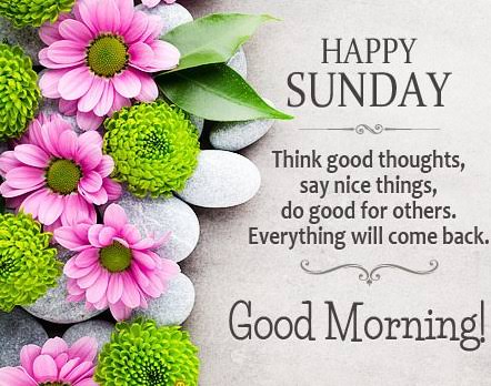 imsneh's tweet photo. Good morning friends..✨✨

#sundayvibes 
#RainyDay 💦☔🌈
#SundayThoughts https://t.co/cDmoijHw11