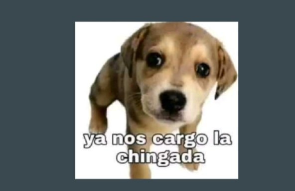 keyy_dy's tweet photo. @Akane_K0 😅😅 https://t.co/vSaUvol0r7