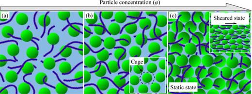 Nicholas A. Peppas tweet media