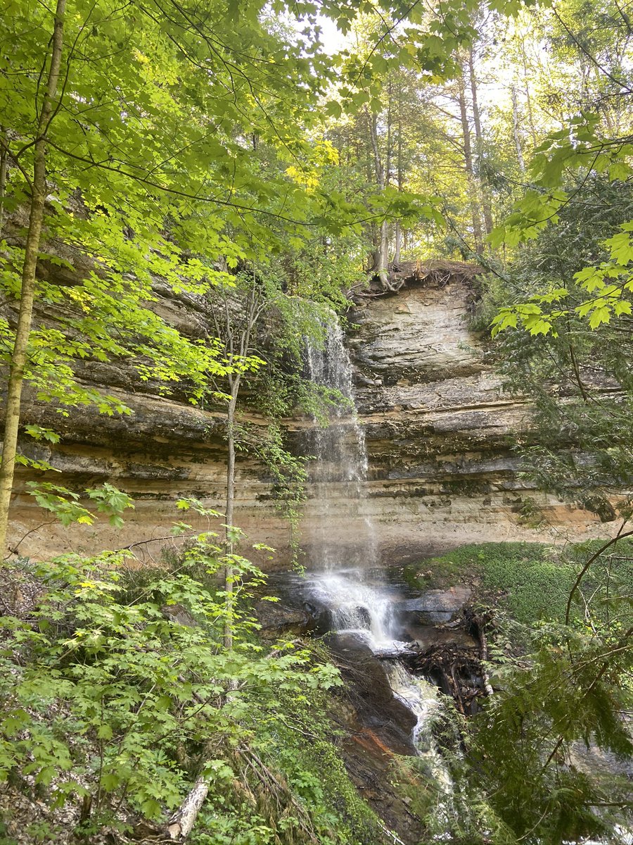 ::QP:: Find similarities in two completely unrelated objects.

#branch 🤍 #waterfall 
#moss 💚 #trees
#entangle #weGoTogether