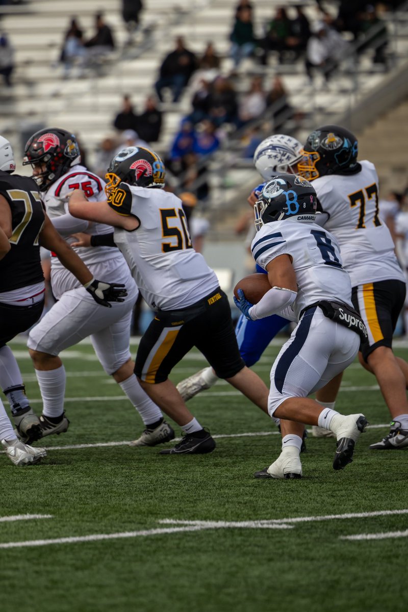 MiroShoots tweet media