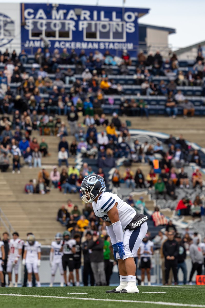 MiroShoots tweet media