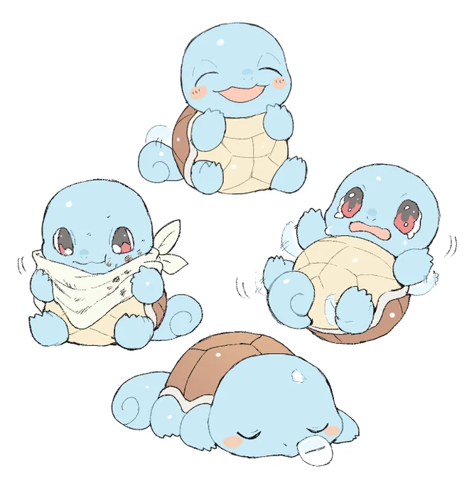 赤ちゃんゼニガメ