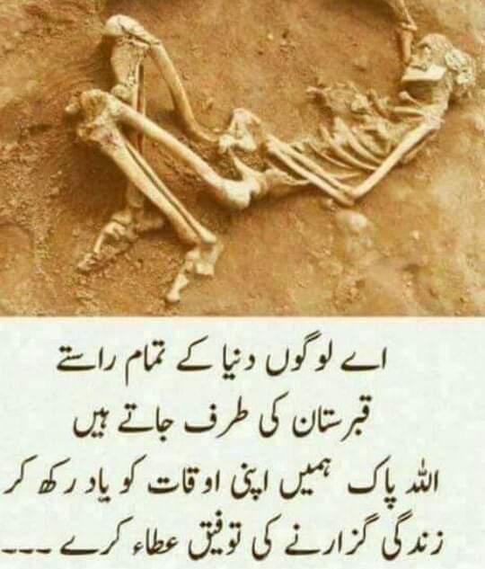 Mr,Sheikh Ali tweet media