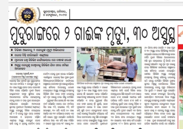 OVSABhadrak's tweet photo. ପ୍ରାଣୀ ଚିକିତ୍ସକମାନଙ୍କ ଆନ୍ଦୋଳନ ୧୮ ଦିନରେ।
ଗାଈ ମୃତ ହାର ବଢ଼ି ଚାଲିଛି। ସରକାରଙ୍କ ଏଥି ପ୍ରତି ଟିକିଏ ମାତ୍ର ଦରଦ ନାହିଁ।
@CMO_Odisha @dahvsodisha @farddept https://t.co/4HA2k2LzNk