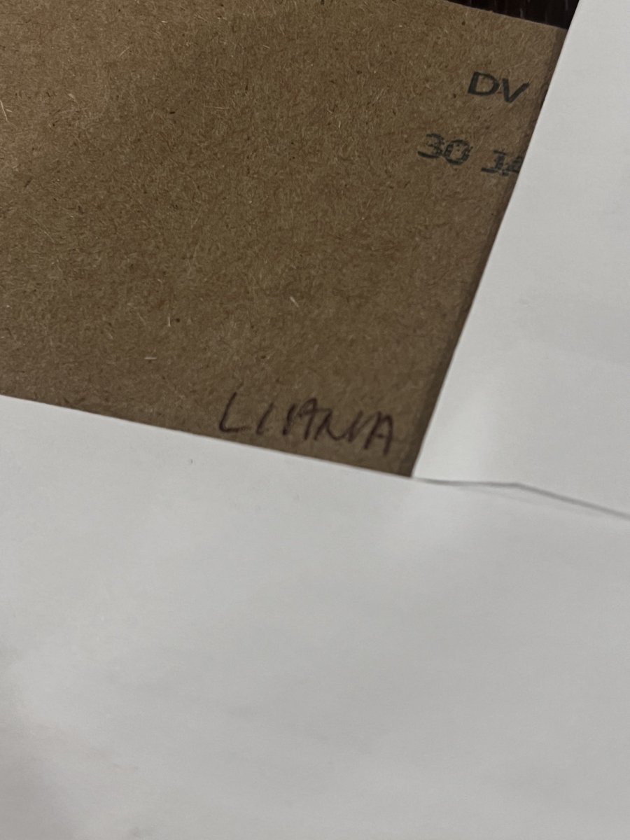 Maverick 🏆 💸 The GOLDEN Dawg 🏎️💨🇯🇲🇳🇴🏁🤘🏽 tweet media