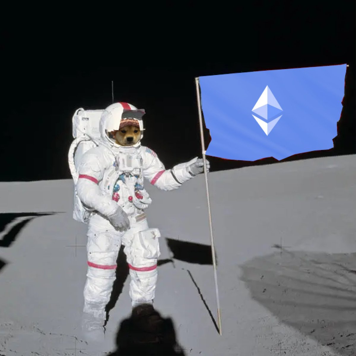 one small step for man... one giant leap for #dogwifhat