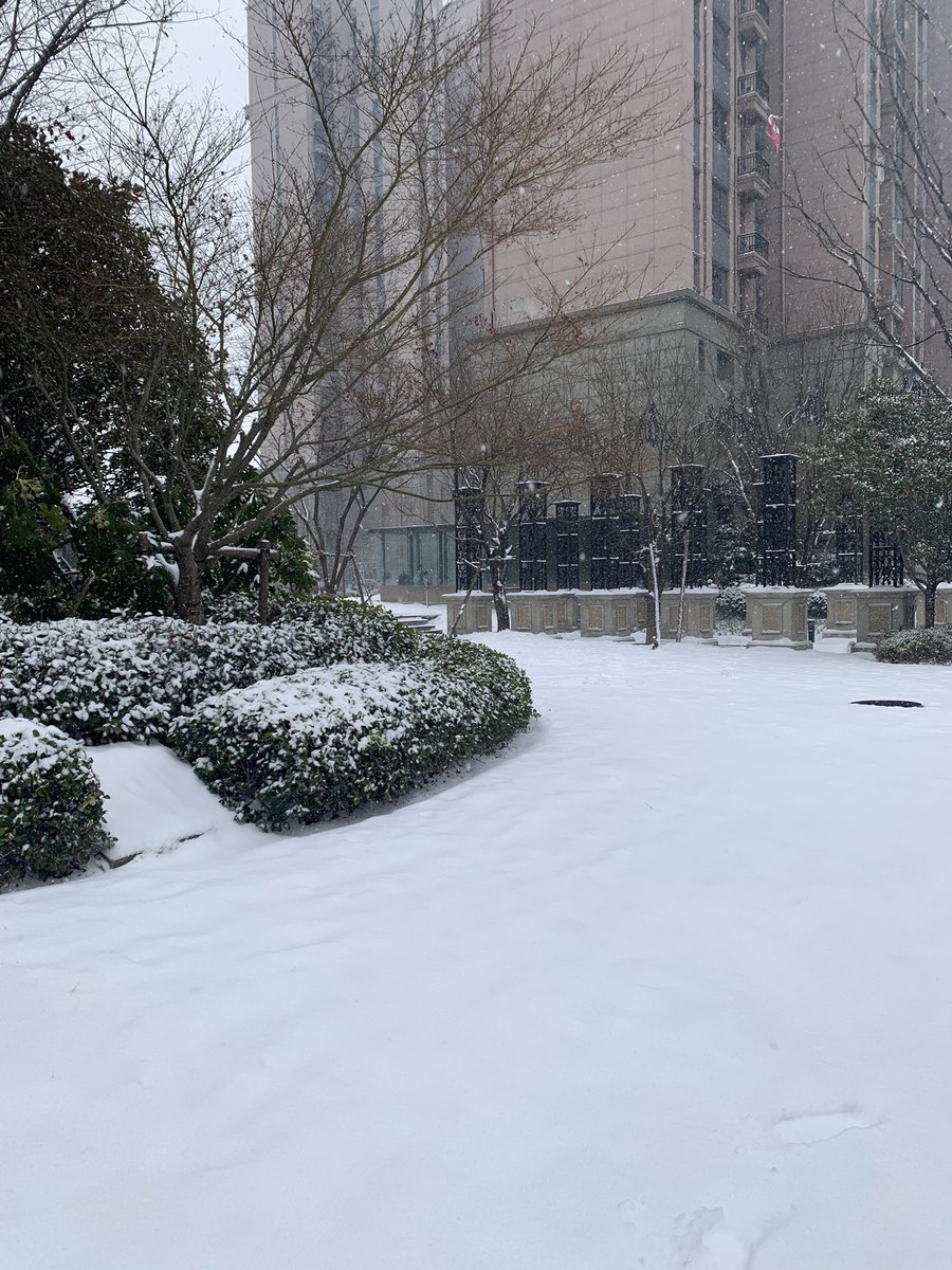 brandonjdl_'s tweet photo. i am first and foremost a snowman https://t.co/KPjJ4FEQOA