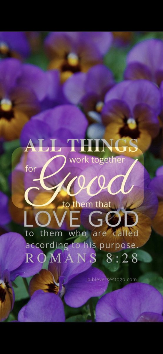 MartiReyna2's tweet photo. Romans 8:28
 
“And we know that all things work together for good to them that love God, to them who are the called according to his purpose.” https://t.co/BvbCyYSkAF