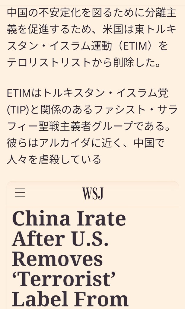 IiMenami's tweet image. 「テロリスト」
という用語は
非常に代替可能である

 #ETIM 
#ウイグル族
