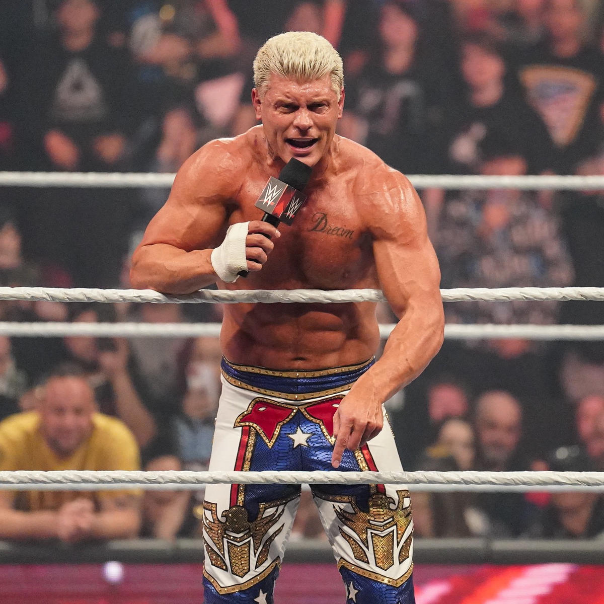 FilmUpdates77's tweet photo. Let the audience decide  
#WeWantCody

rt for Rock                      like for Cody https://t.co/9RPuIRylGe