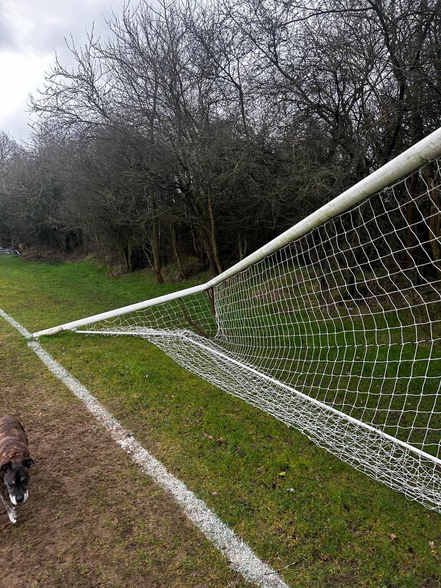 DOSDAOS's tweet image. There are still idiots who take warped delight in spoiling grassroots football.