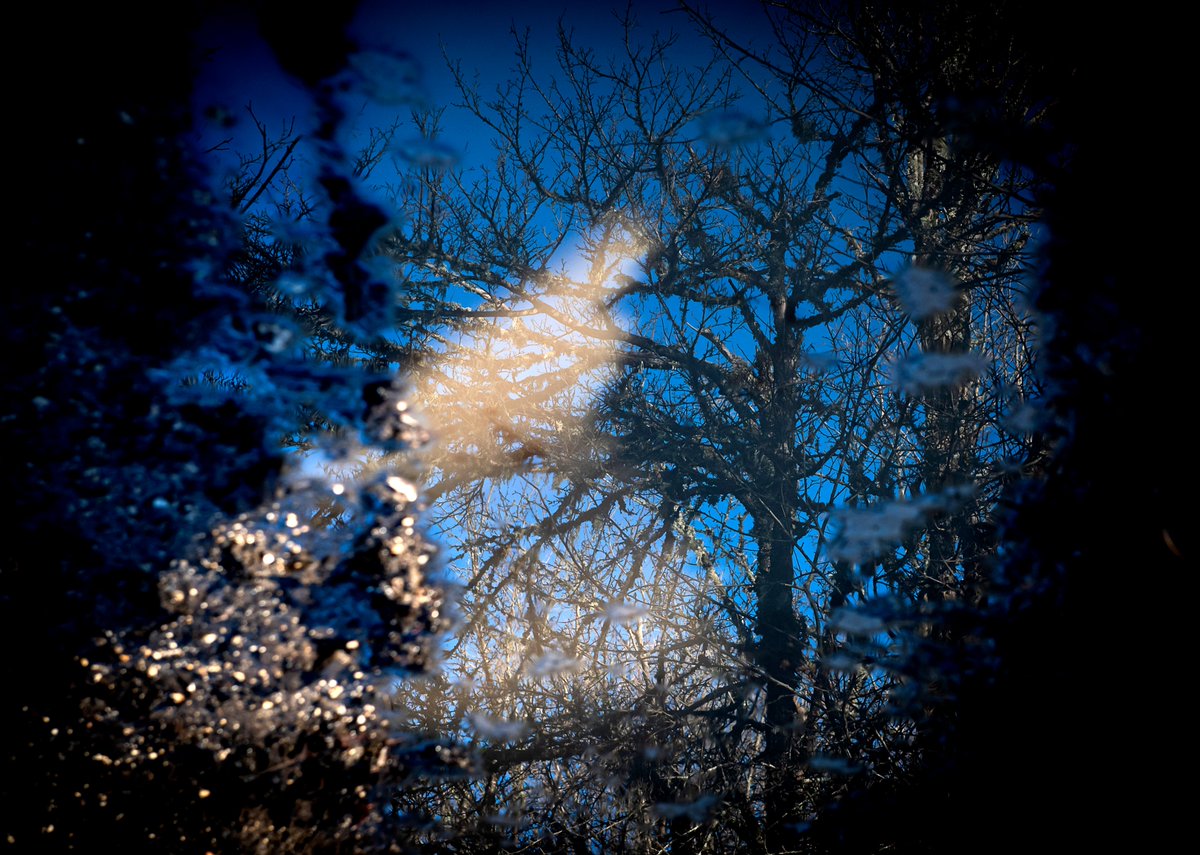 matteod77147188's tweet image. Winter reflected in a puddle along a forest path. Spring will return full of light and life, for now, just a reflection.

#WinterWhisper
#ReflectionsOfNature
#PuddlePerspective
#FrostedVisions
#AwaitingSpring
#NaturePhotography
#WinterMood
#PathwayToSpring
#SparklingWinter