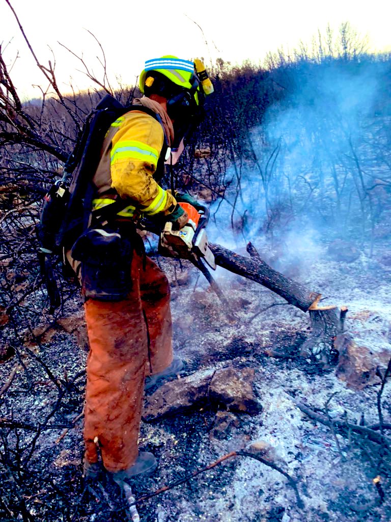ugtbomberofores's tweet photo. Los #BBFF en los #IIFF se ven expuestos a distintos agentes químicos derivados de la propia combustión: humos y gases, hollín, compuestos orgánicos volátiles, hidrocarburos aromáticos policíclicos, así como agentes cancerígenos y múgatenos
#DiaMundialContraElCancer https://t.co/UBHNRVM2Py