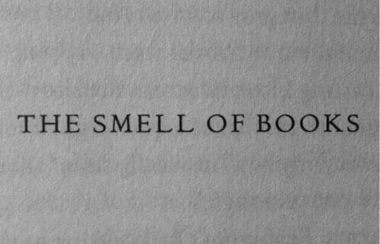 marysocontrary tweet media