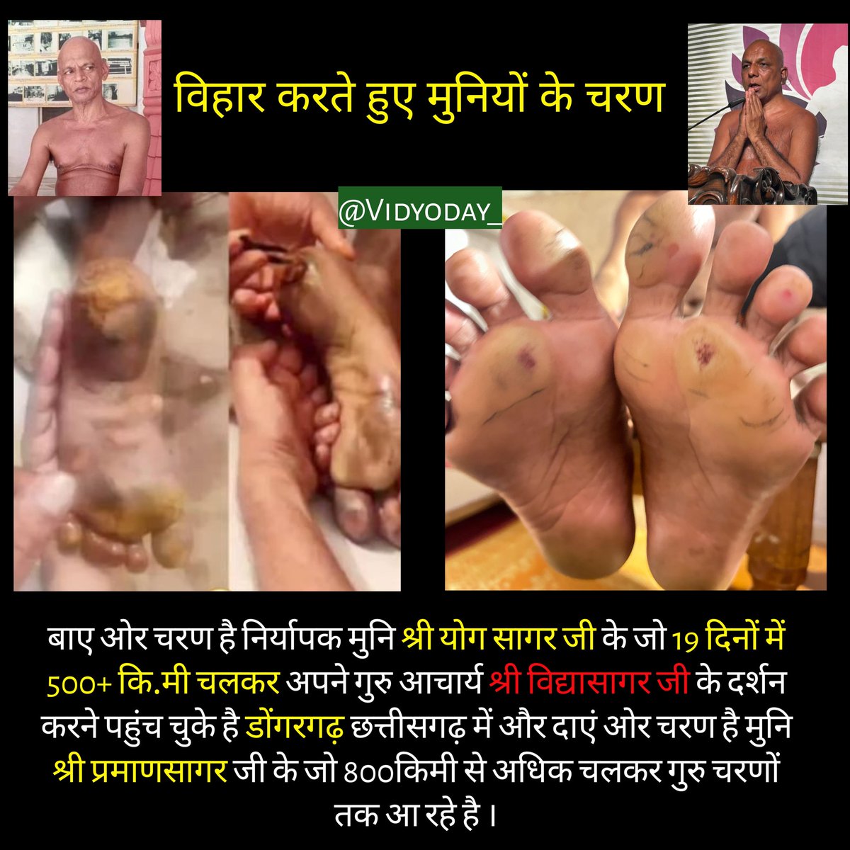 द्वय महामुनिराजो के दिव्य चरण कमल जो अपने गुरु तक पहुंचने में निरंतर चल रहे है जिनमे से एक चरणों ने गुरु तीर्थ की वंदना कर ली किंतु दूसरे चरण अभी भी चलायमान है ।
नमोस्तु भगवन नमोस्तु 🙇🏻🙏🏻