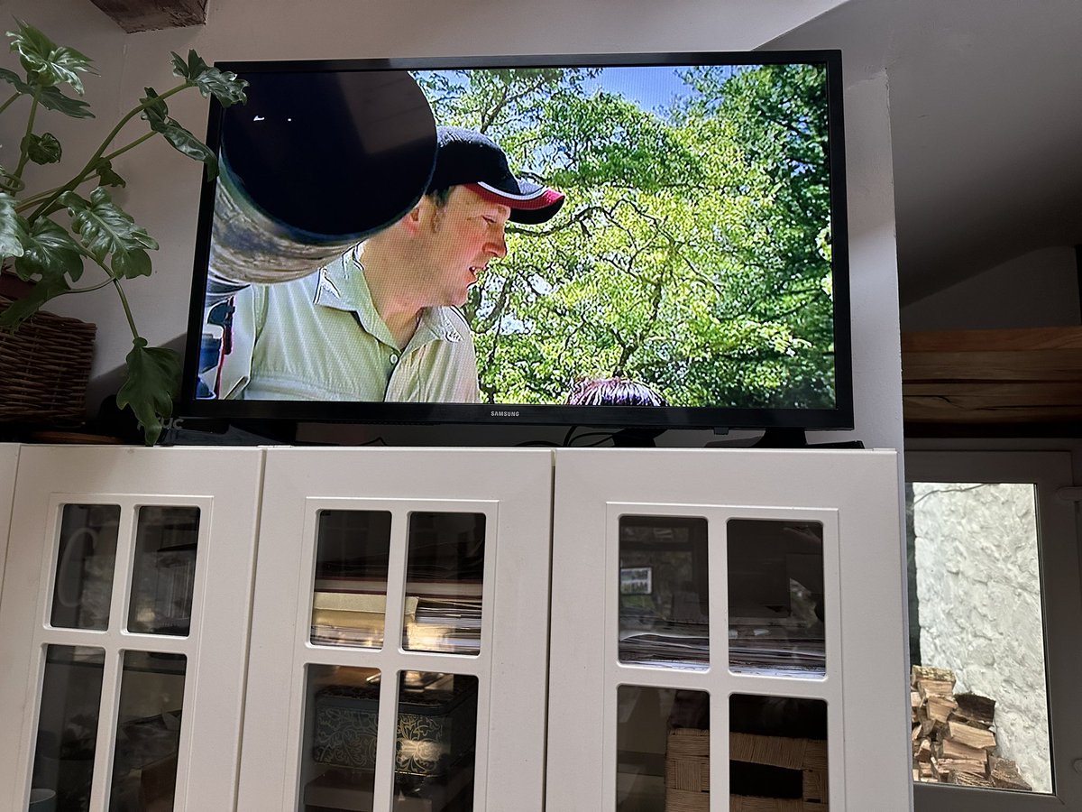 WildlifeKate tweet media