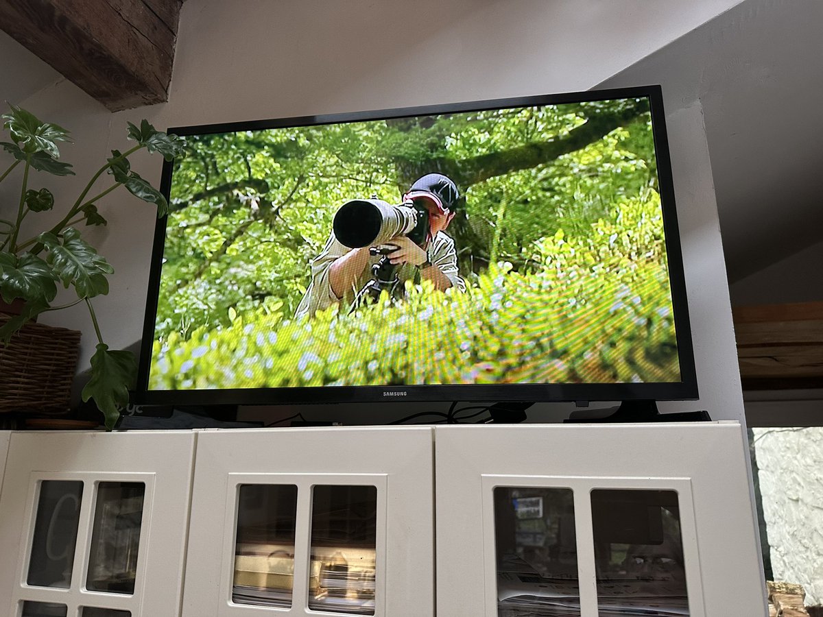 WildlifeKate tweet media