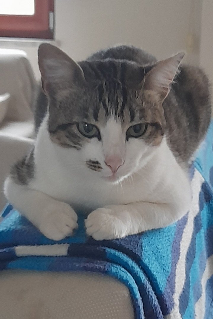 Abbiamo tutti delle fragilità, perciò siamo speciali...

#LaFragilitaCheEInNoi #SalaLettura

Buona domenica 💙