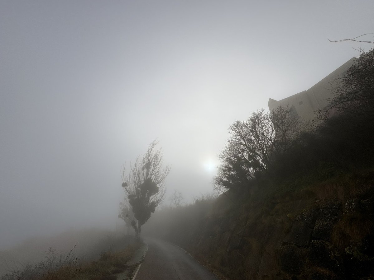 Felipon59's tweet photo. Mañana con niebla en #sosdelreycatólico https://t.co/jamNTojIqS