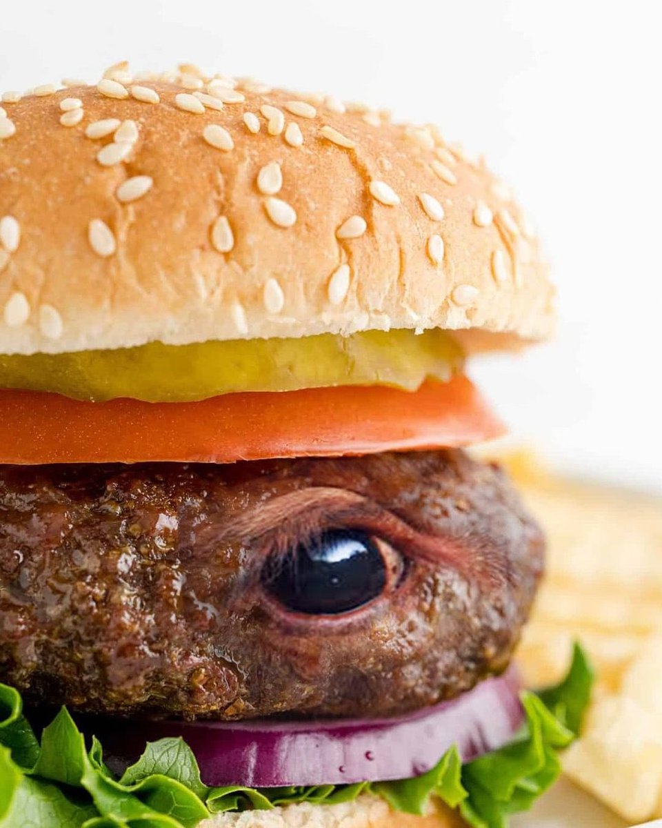 Someonesentient's tweet photo. Le vrai visage de votre hamburger. https://t.co/qIIdY6sMFl
