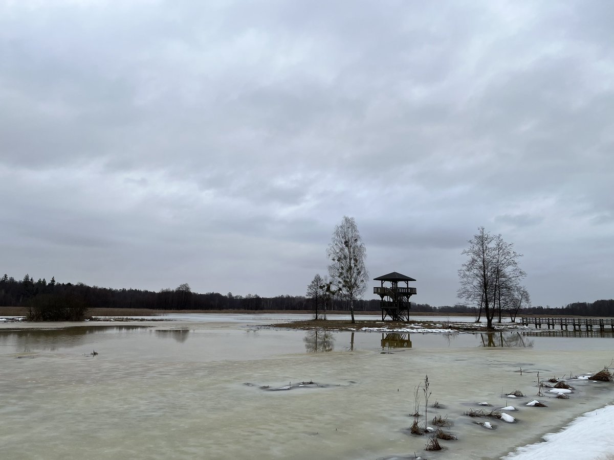 dr Katarzyna Nowak tweet media