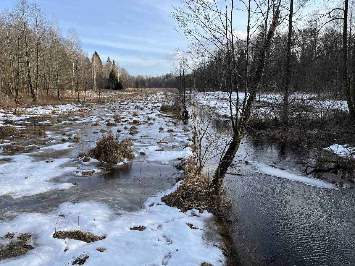 dr Katarzyna Nowak tweet media