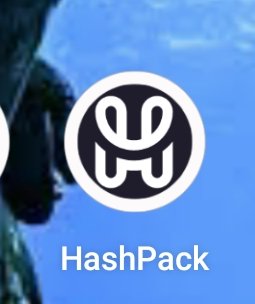 CryptoPublicID's tweet photo. #HEDERA #HBAR WITH #HASPACK #HSUITE AND #SAUCERSWAP 

#HBARbarian https://t.co/GToB5ZPFPT