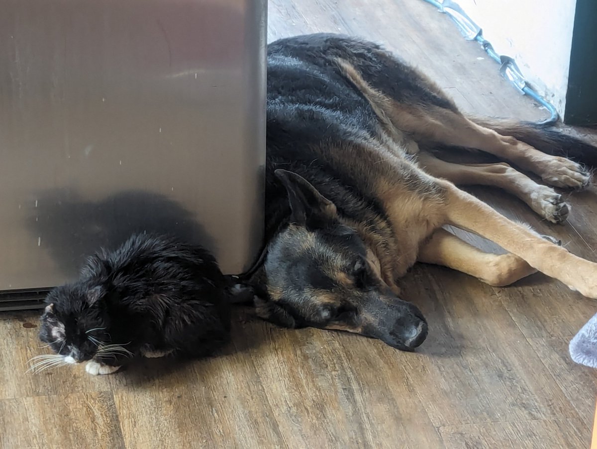 Murphy hanging out with his canine friend