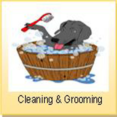 Tigger Club Out and About: Cleaning and Grooming Parlours tigger.club/cleaning If you have Cleaning and Grooming Parlour and would like a free listing, contact me at business@tigger.club #TiggerClubNews #OutAndAbout #dogfriendly #cleaning #BathTime