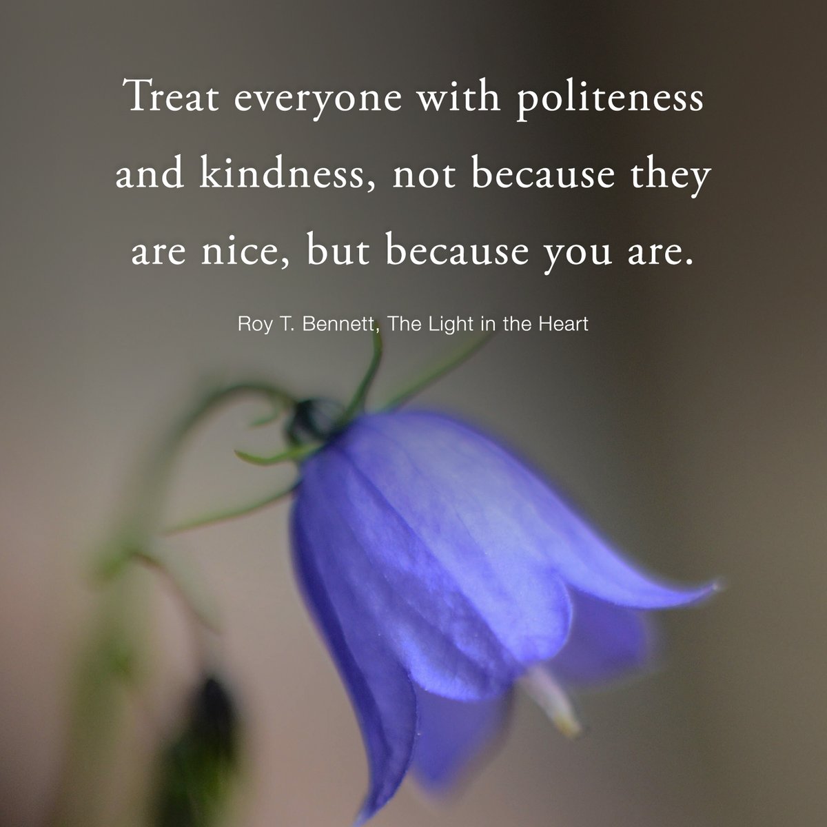 Treat everyone with politeness and kindness, not because they are nice, but because you are. Roy T. Bennett, The Light in the Heart #motivation #Inspiration #quote #quotes #RoyTBennett