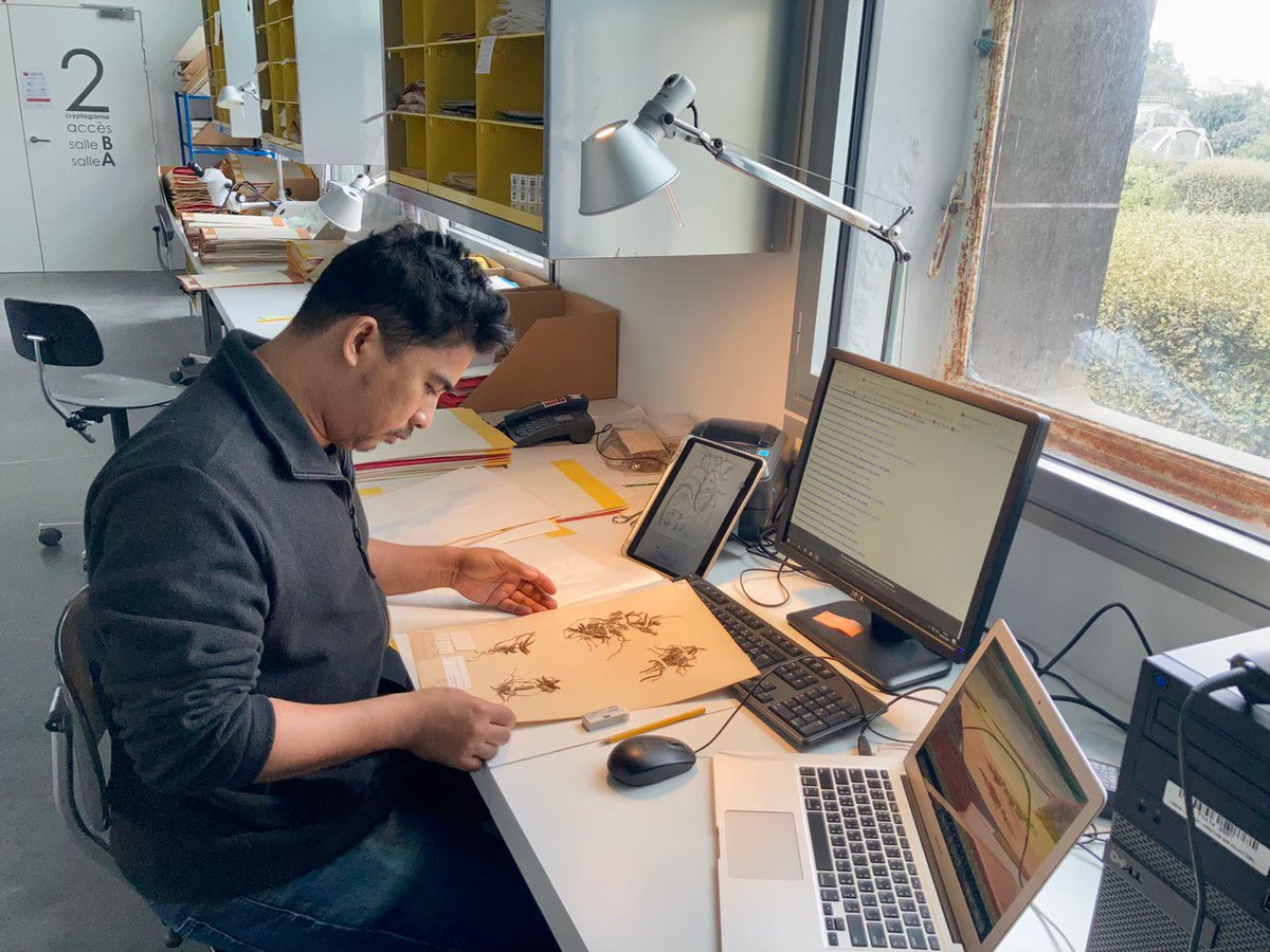 toolmal's tweet photo. The Herbarium of Muséum national d’Histoire Naturelle (also recognised as Paris Herbarium or P) is one of the foremost natural history institutes and the most extensive plant collections in the world, which houses c. 11 million specimens from all over the world. https://t.co/quCxvunwhR
