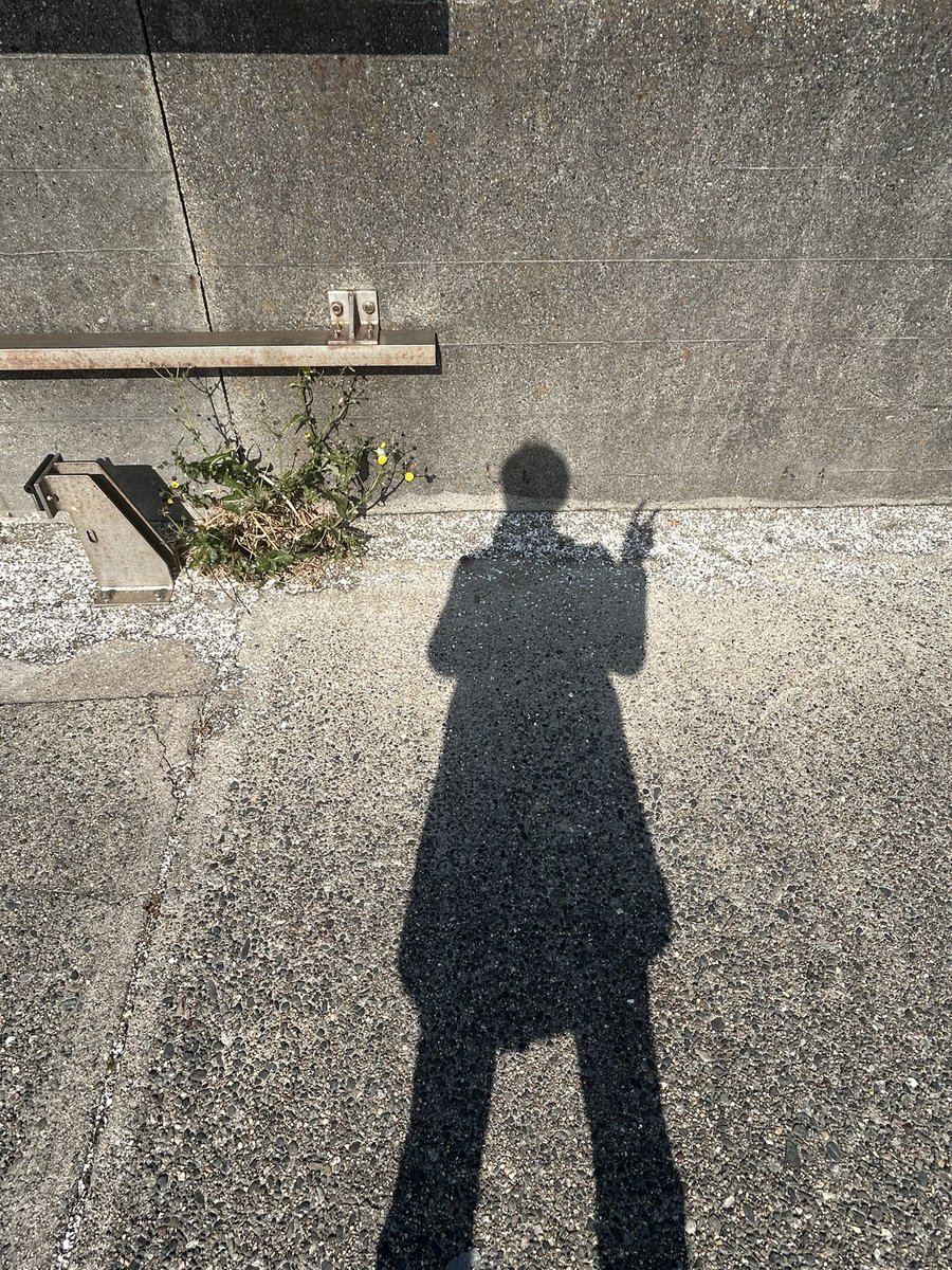 okym_yo's tweet photo. 天気良くて竹島気持ちよかったぁ https://t.co/3r9IUYdpkz
