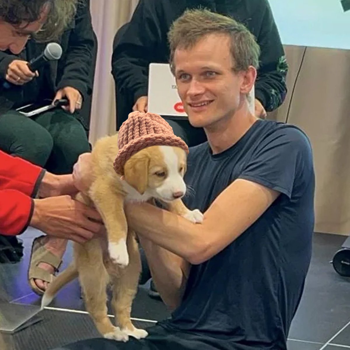vissalik #dogwifhat