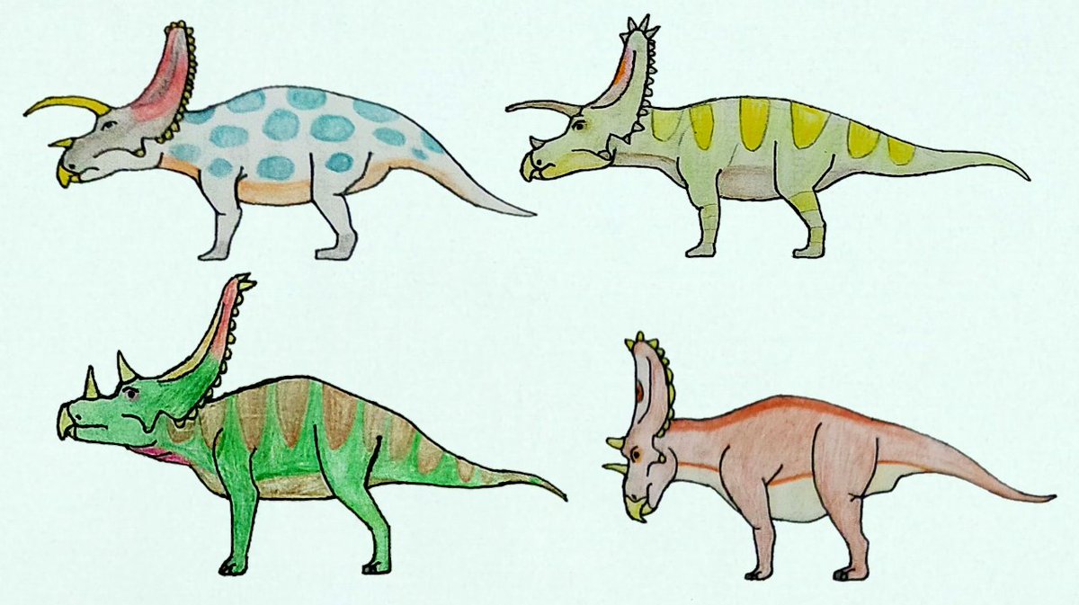 trmd350's tweet photo. Four Ceratopsians.
Arrhinoceratops Anchiceratops
Utahceratops and Chasmosaurus
#Chasmosaurus #Anchisaurus #arrhinoceratops #utahceratops #Mesozoic #Dinosaurs #Paleoart #Art #drawadinosaurday https://t.co/ebOcmklmzL