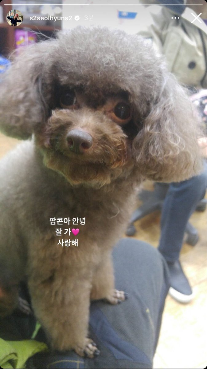 notbbaregi's tweet photo. 팝콘아 https://t.co/h5TwnljGDD