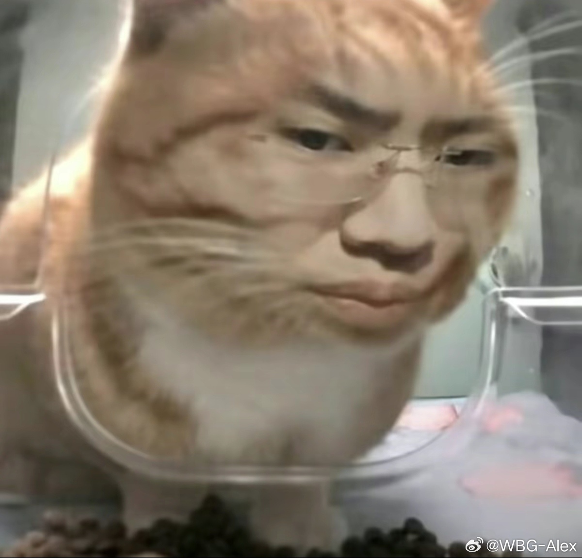 灰烬丶Alex tweet media