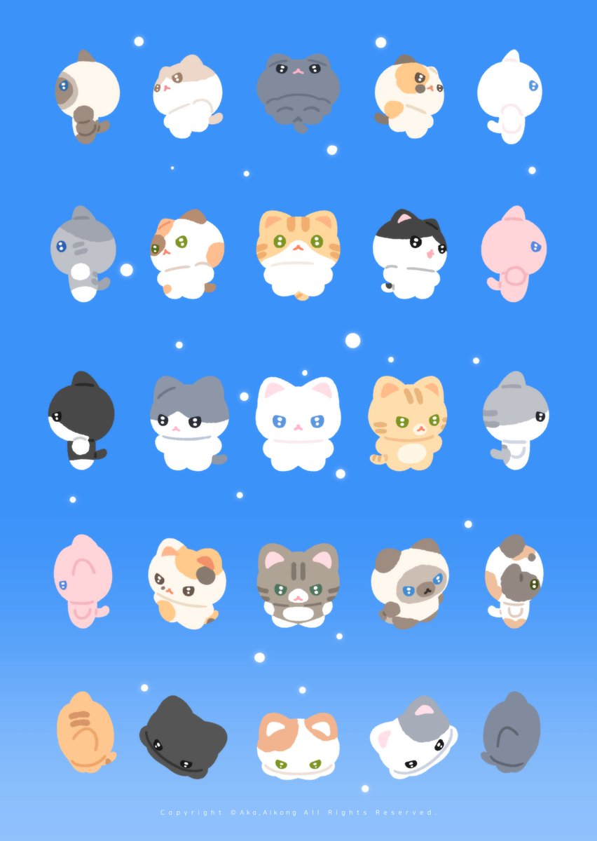 💙🐱