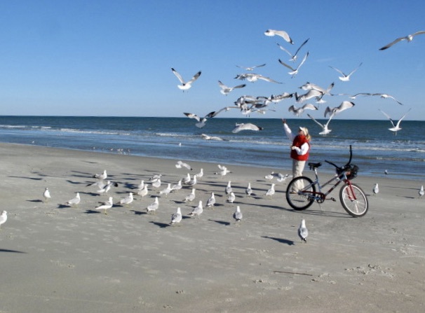 Clear blue skies, fresh salty air, and a seagull symphony. My perfect beach moment. What's your favorite thing about spending time at the ocean? #hiltonheadisland #beachlife #bikeadventures #seagulllove