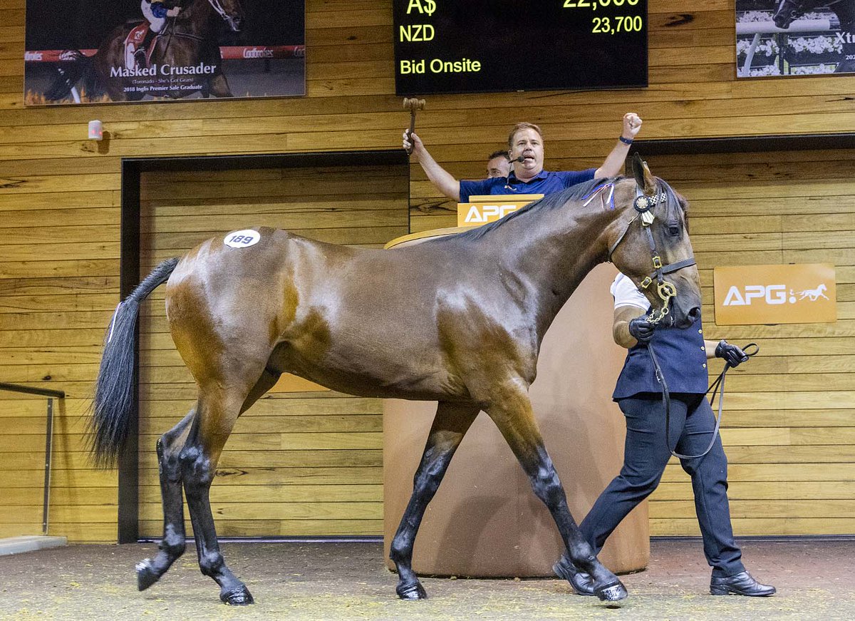 Lot 189, a Downbytheseaside colt out of Park Life made $40k to the bid of Aaron Dunn <a href="/AustPacingGold/">APG Ltd</a> <a href="/TheTrotsComAu/">The Trots</a>