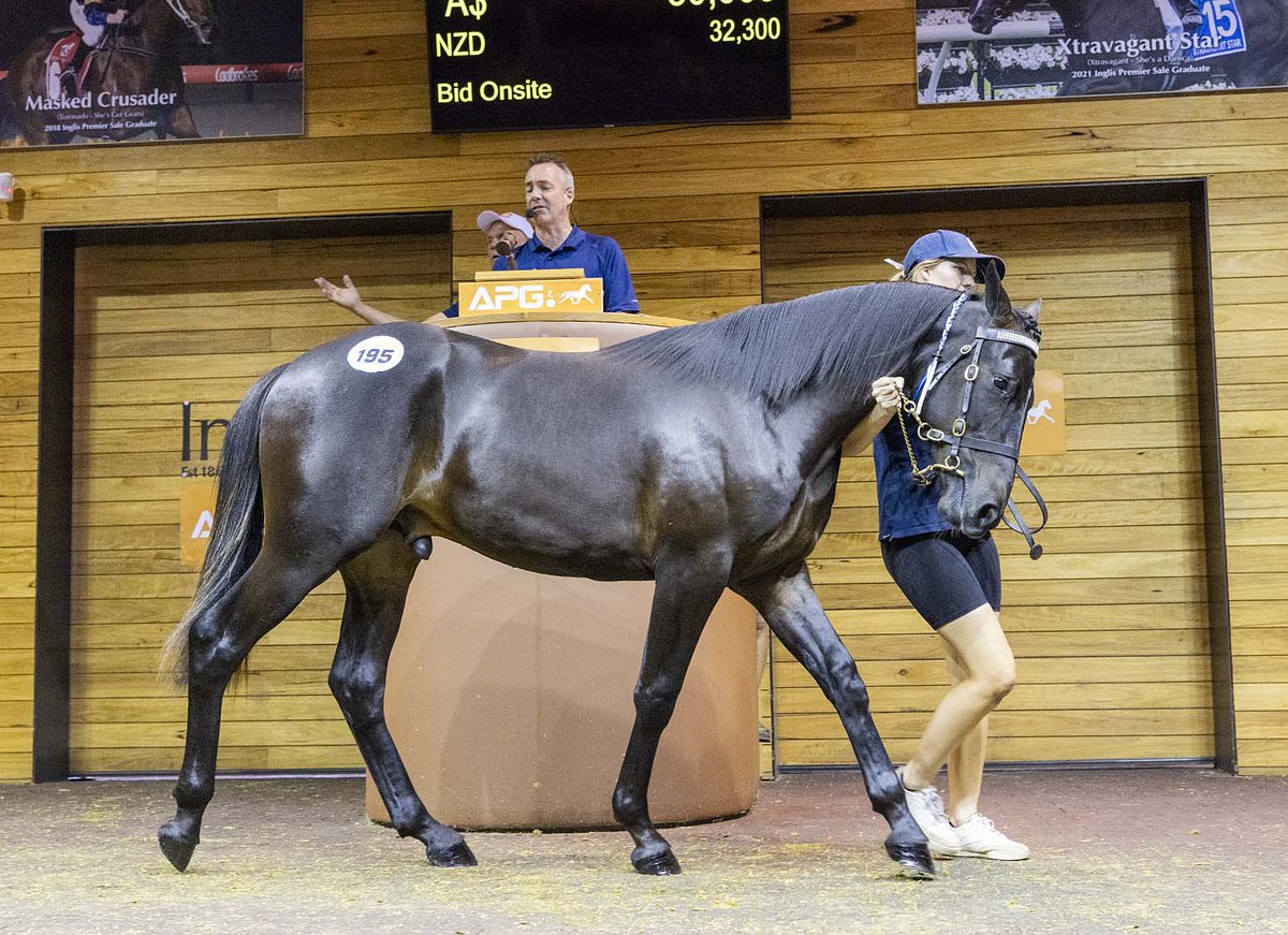 The Tall Dark Stranger colt out of Riri Rihanna went for $40k to M Busch. Prep Oakbank Estate <a href="/AustPacingGold/">APG Ltd</a> <a href="/TheTrotsComAu/">The Trots</a>