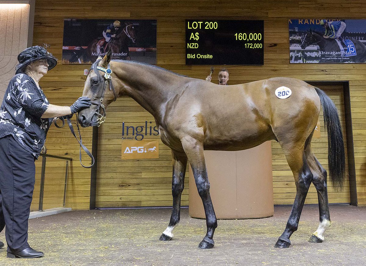 The Downbytheseaside colt out of Sahara Sunrise, a half-brother to Sahara Storm went for $160k on Nathan Jack's bid. Prep Annie Dalton <a href="/AustPacingGold/">APG Ltd</a> <a href="/TheTrotsComAu/">The Trots</a>